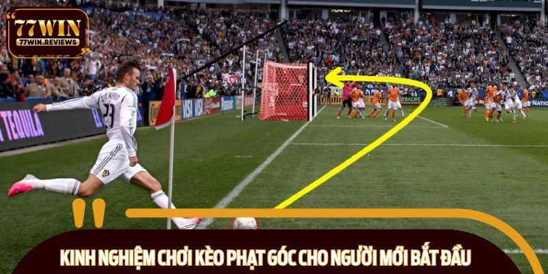 Kinh nghiệm chinh phục tỷ lệ phạt góc hiệu quả